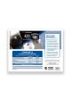 SEG 8.9 Flyer Business Dev -0126
